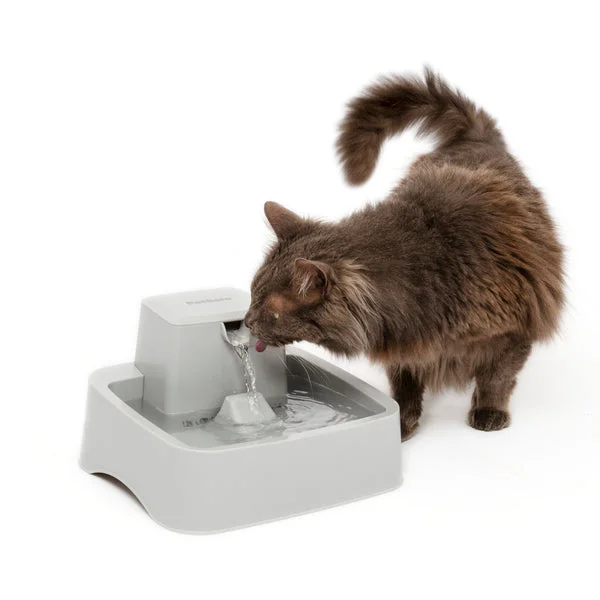 - Chinchilla cooling ice nest ceramic plateDrinkwell 1/2 Gallon Pet Fountain