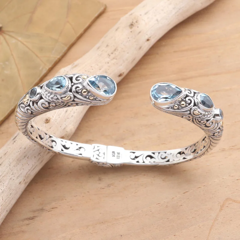 - Cat nail clippers with LED lightsFierce Warrior in Blue Sterling Silver and Blue Topaz Cuff Bracelet from Bali