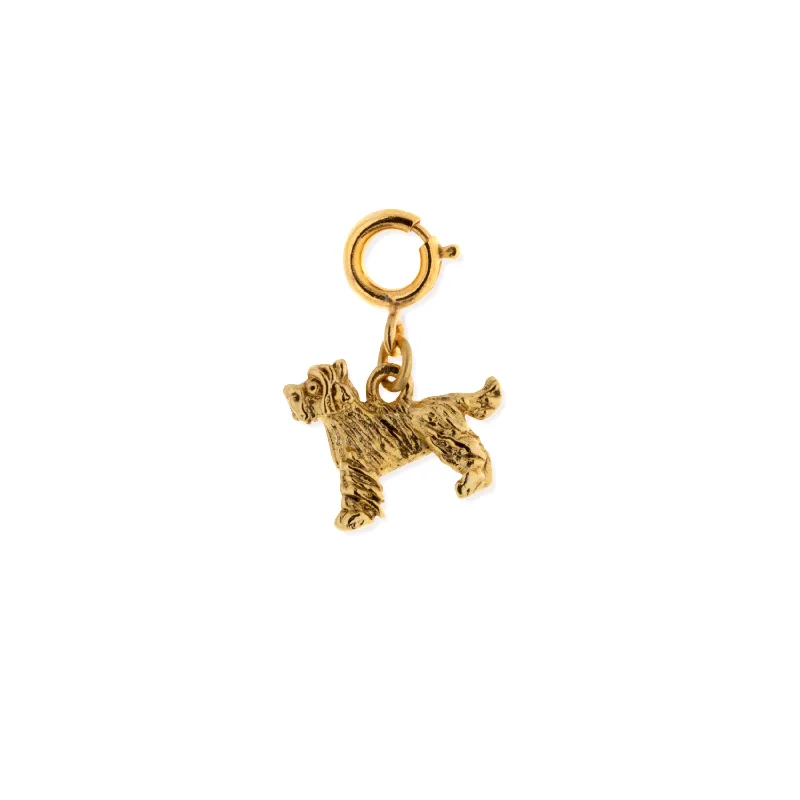 - Automatic induction pet water dispenser1928 Jewelry® 14K Gold Filled Yorkshire Terrier Dog Charm